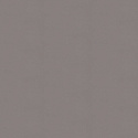 A100313