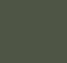 Детские зелёные обои Loymina Materials Lotus LOT1, 905